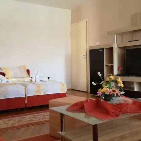 Guest house Zora 1 *